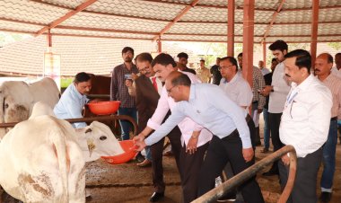Cow-Tourism Centre :-  देशी गाईंचा प्रचार व प्रसारासाठी पुणे येथील देशी गाय संशोधन केंद्रात लवकरच गो-पर्यटन केंद्र सुरू होणार! 