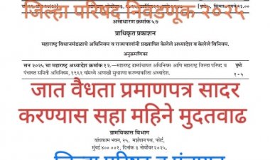 Ordinance to amend the Zilla Parishad and Panchayat Samiti Act : .‌.. आता जात वैधता प्रमाणपत्र नसले , तरीही लढवू शकता जिल्हा परिषदेची आगामी निवडणूक!  