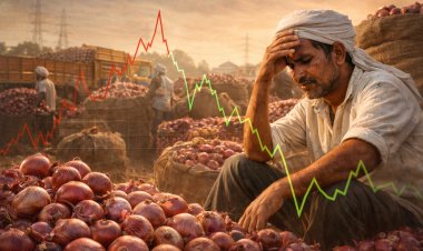 Onion Price Rollercoaster: कांदा बाजारात दरांचा चढ-उतार, वधारलेल्या खर्चात शेतकरी अडचणीत.