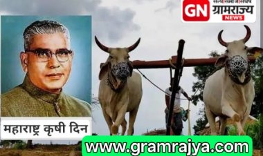 State Agriculture Day : कृषी दिनानिमित्त पुणे जिल्हा परिषदेत 'भविष्यातील शेती' विषयावर निबंध लेखन स्पर्धा!