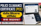 ऑनलाइन FSSAI लायसन्स कसा काढायचा? FoSCoS पोर्टलवर स्टेप-बाय-स्टेप मार्गदर्शन, फी आणि कागदपत्रे एकाच ठिकाणी